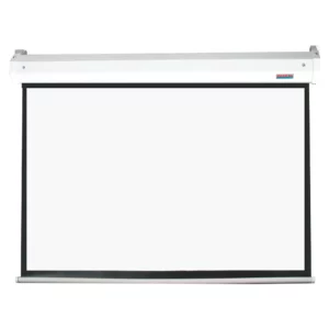 Parrot Screen Pulldown 2440 by 1850mm