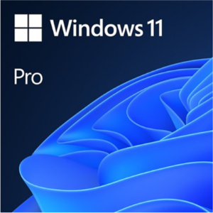 Microsoft Windows Professional 11 64-BIT License (Download)